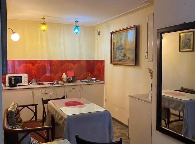 公寓 艺术公寓 *