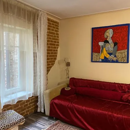 Apartament On Kostiushka * Lvov
